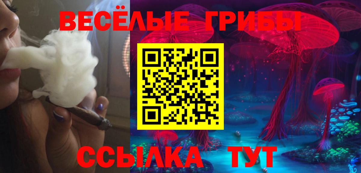 Псилоцибиновые грибы ЛСД  Вход с VPN  Зеленодольск 